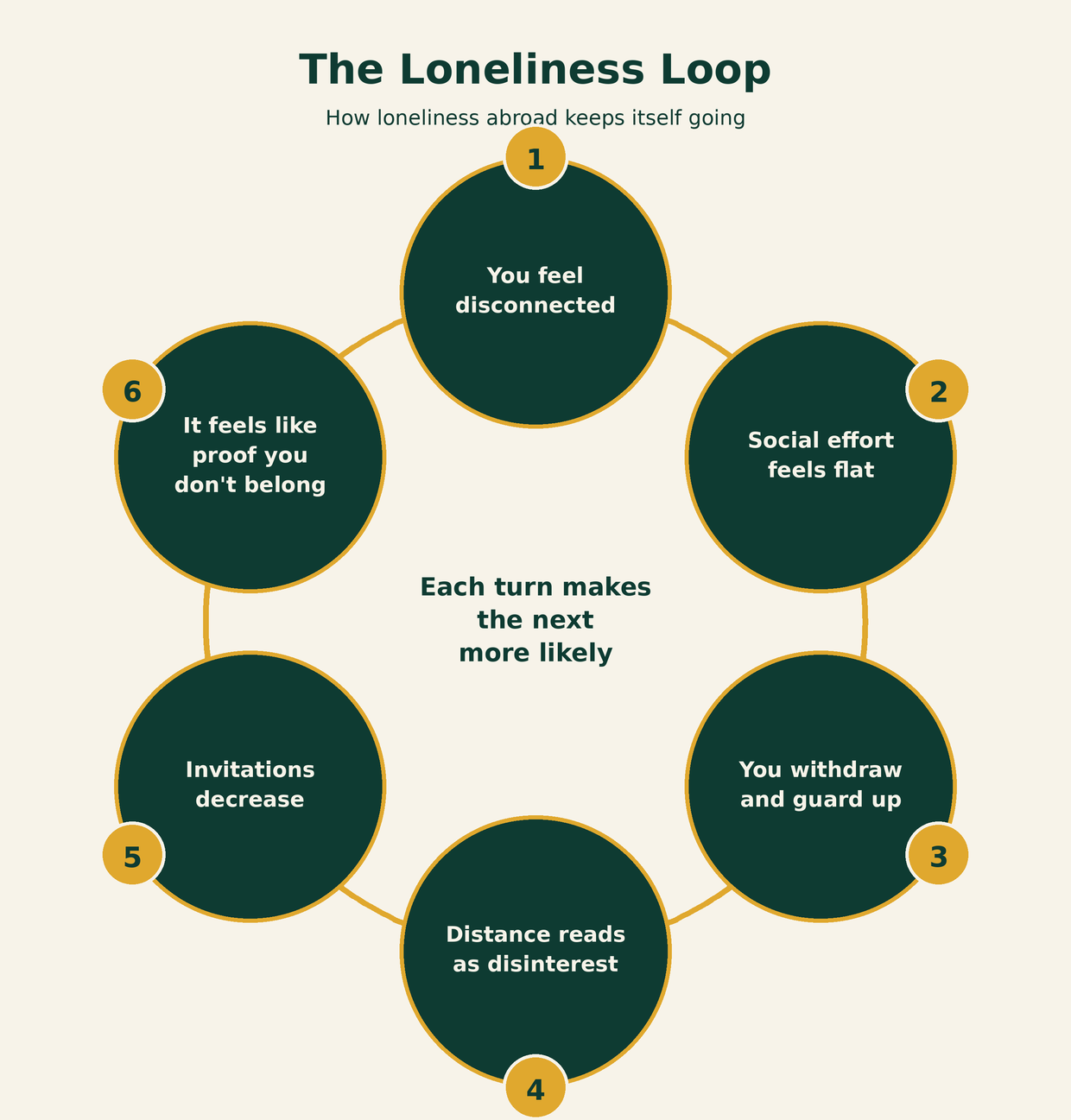 The loneliness loop abroad: feeling disconnected leads to disappointing social effort, withdrawal, others reading distance as disinterest, fewer invitations, and a sense of not belonging, which feeds back into disconnection