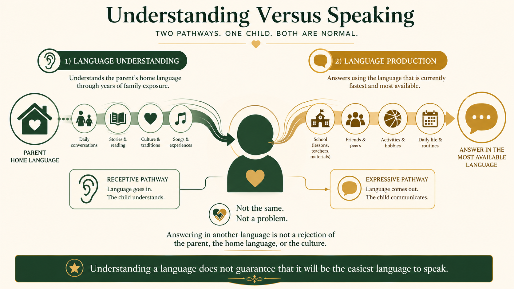 Infographic showing why a multilingual child may understand a home language but prefer answering in another language.