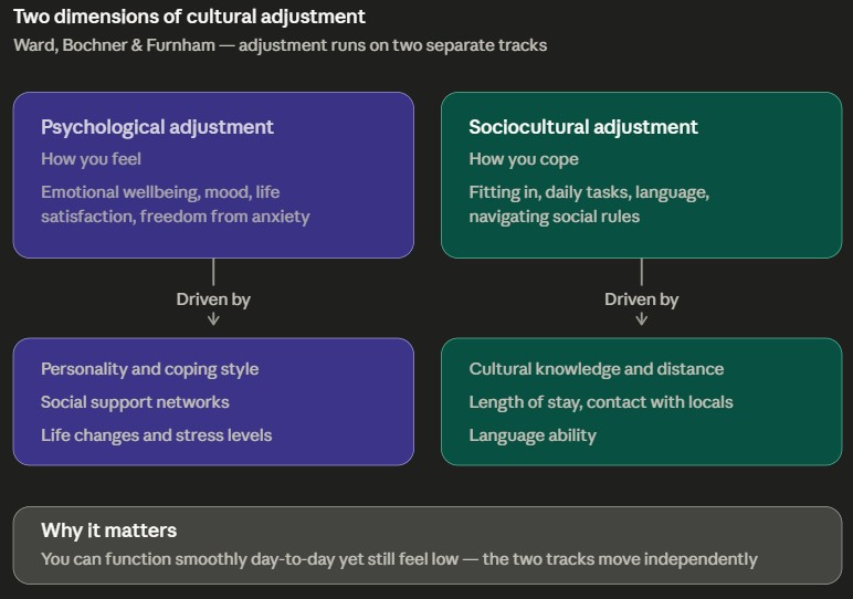 Two dimensions of cultural adjustment