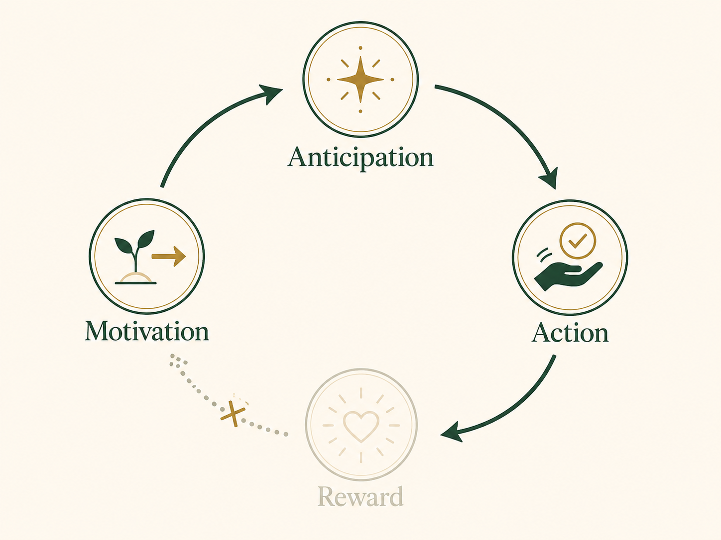 editorial infographic showing the cycle: anticipation, action, reward, motivation. The reward stage is visibly faded or interrupted, explaining anhedonia without medical complexity.